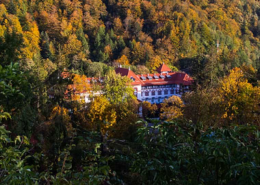 Autumnal Building in Forest