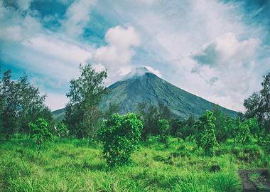 Lush Green Landscape with Mountain Peak