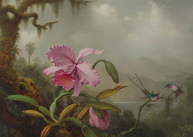 Orchid and Hummingbirds in Tropical Landscape