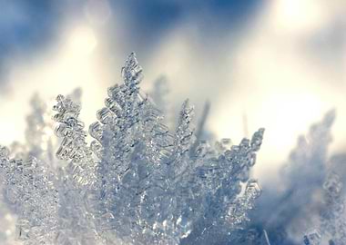 Close-up of Ice Crystals
