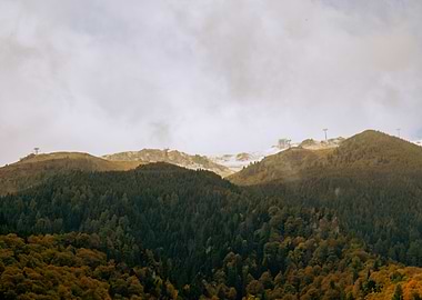 Mountain Landscape with Forest and Snow