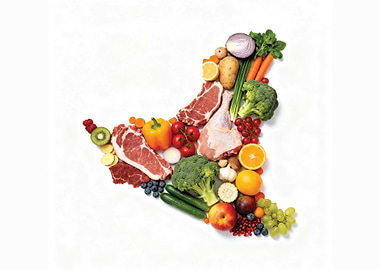 Food Map: Fruits, Vegetables, and Meats