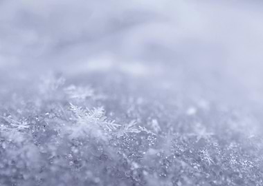 Close-up of Snowflakes
