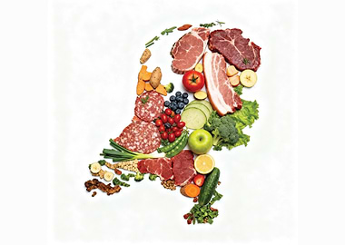 Food Map of Netherlands Made from Meat, Vegetables, and Fruits