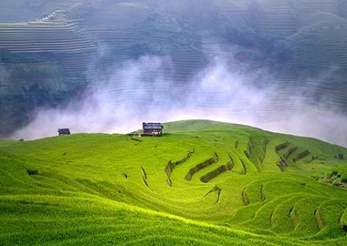 Lush Green Rice Terraces with Huts