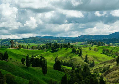 Lush Green Rolling Hills Landscape