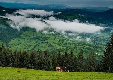 Green Mountain Landscape with Cows