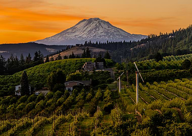 Mount Adams