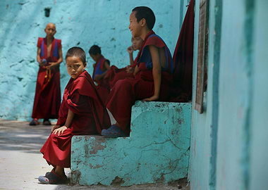 Young Monks in Red Robes