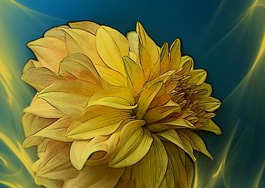 Yellow Dahlia Flower in veils of yellow light