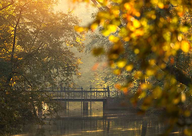 Autumn bridge over calm water