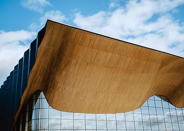 Modern Architecture with Wood and Glass