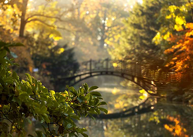 Autumn Bridge Reflection