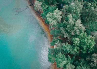 Aerial View of Lake and Forest