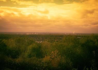 Golden Hour Overlooking Forest and City