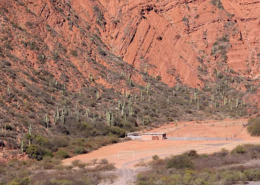 Geographies of Silence 2 - Desert Football Field