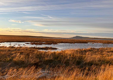Golden Icelandic Landscape with Water