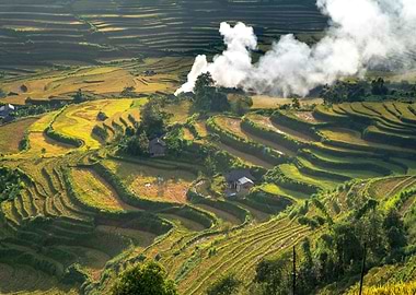 Terraced Rice Fields with Smoke