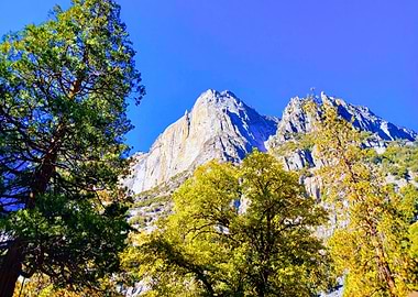 Mountain View with Trees and Blue Sky