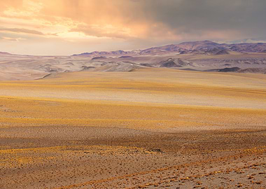 Whispers of the High Desert