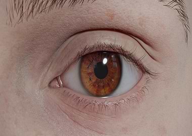 Close-up of a Brown Human Eye