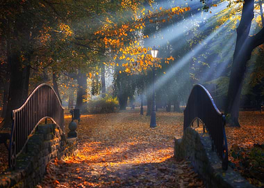 Autumn Park with Sun Rays, Poland