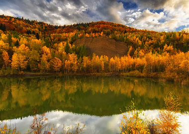Autumnal Forest Reflected in Lake, Poland