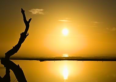 Golden Sunset - Lake Tyers Beach