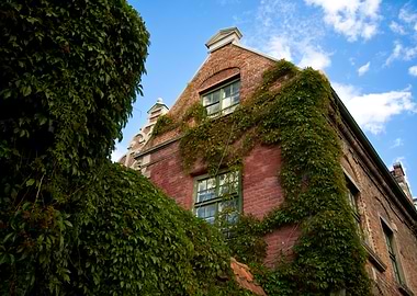 Brick Building with Ivy