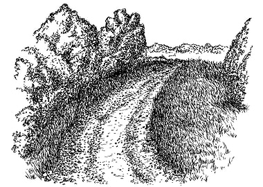 Rural Road Pen and Ink Drawing