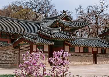 Changdeokgung Palace Flowers in Seoul, South Korea