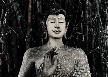 Buddha Statue in Tranquil Setting