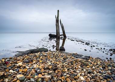 Pebble Beach with Wooden Posts Netherlands