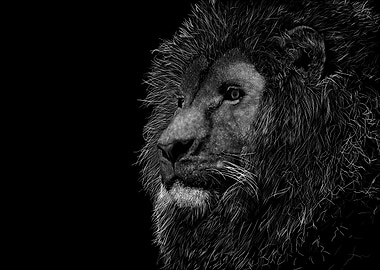 Lion Portrait