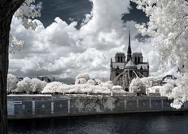 Notre Dame Cathedral in Infrared