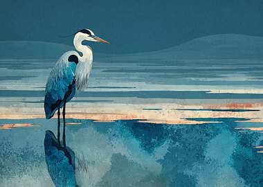 Solitary Heron on Still Water