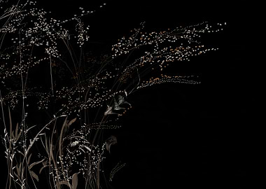 Floral Silhouette on Black Background