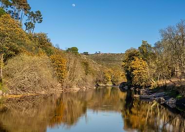 Reflections on the Mondego