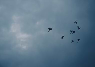 Flock of white Birds Flying in Cloudy Sky