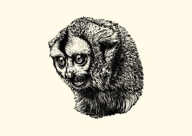 Detailed Monkey Portrait
