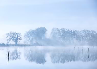 Misty Lake Landscape