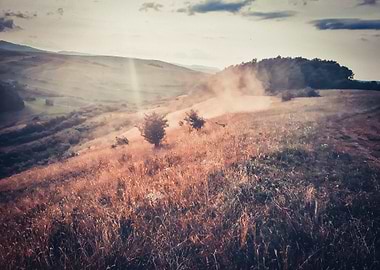Hills with golden grass and mist