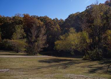November Trees Landscape