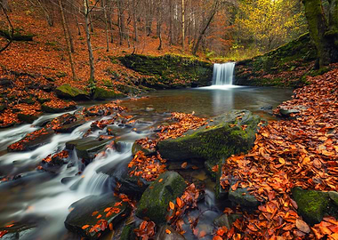 Autumn Waterfall in Forest
