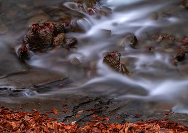Autumn Stream Long Exposure
