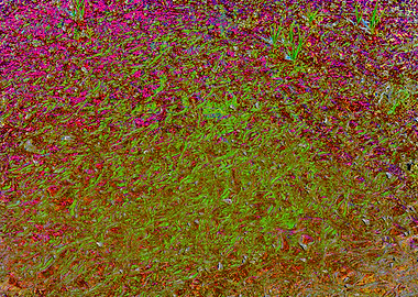 Abstract Green and Pink Ground Cover