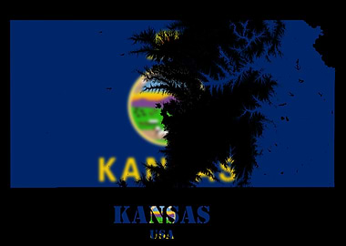 Kansas USA state Topographic Contour Relief Map blending terrain features into its emblematic colorful flag
