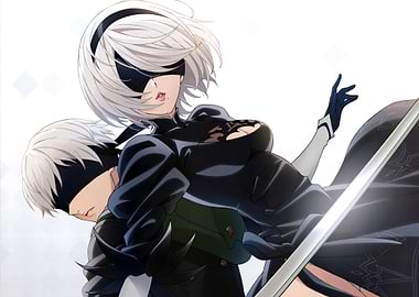 nier automata anime 2b and 9s