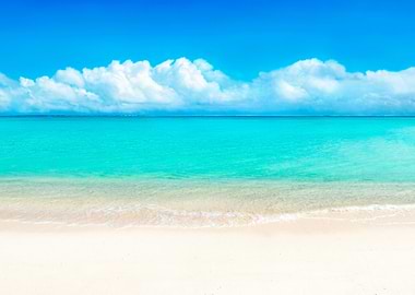 Tropical Beach Paradise