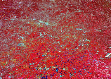Abstract Red and Blue Texture